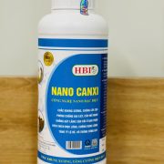 gen-h-NANO-Canxi